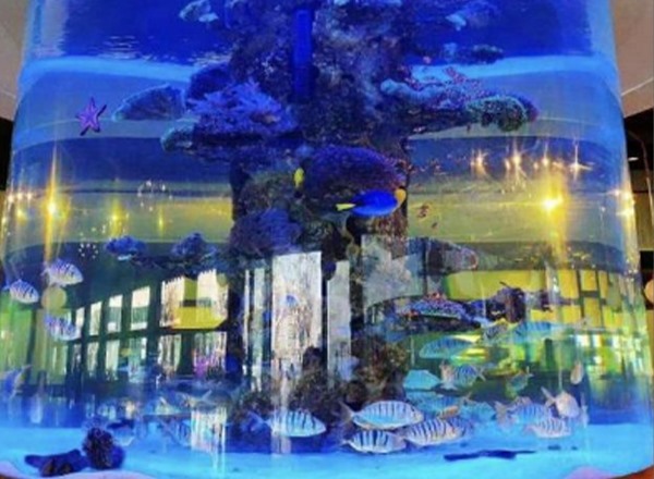 水族館亞克力工程